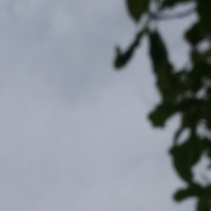 国自产拍偷拍福利精品啪啪
